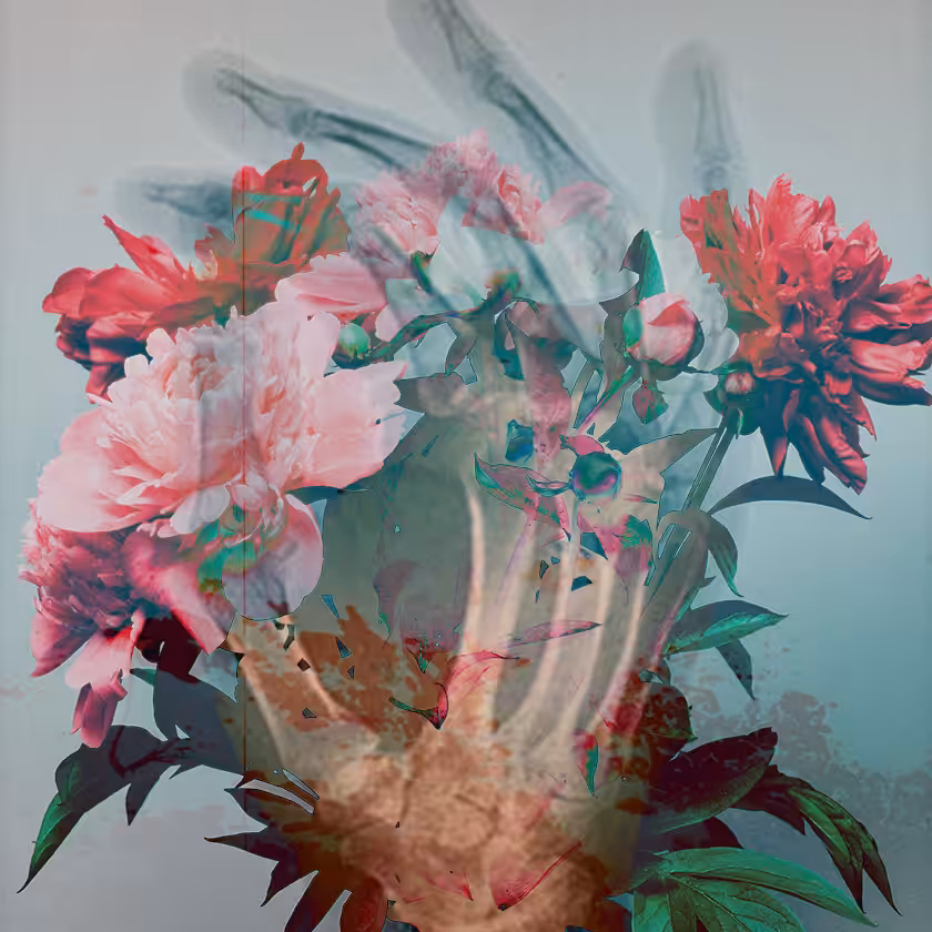 flowers and death #27