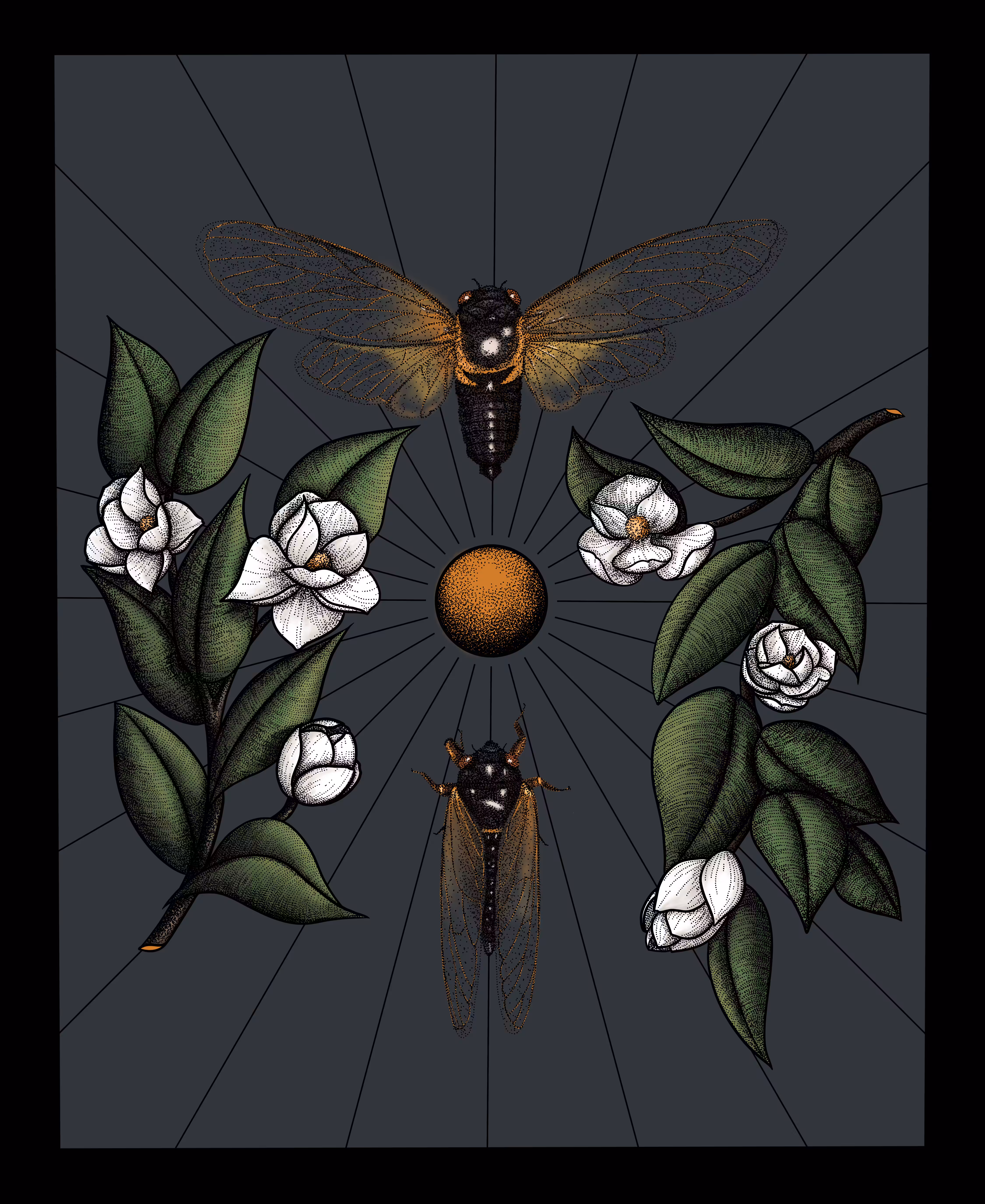Cicada Summer