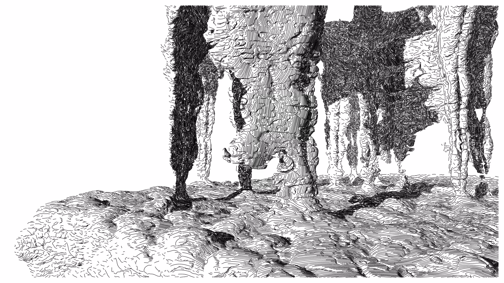 GEOMORPHISM #147
