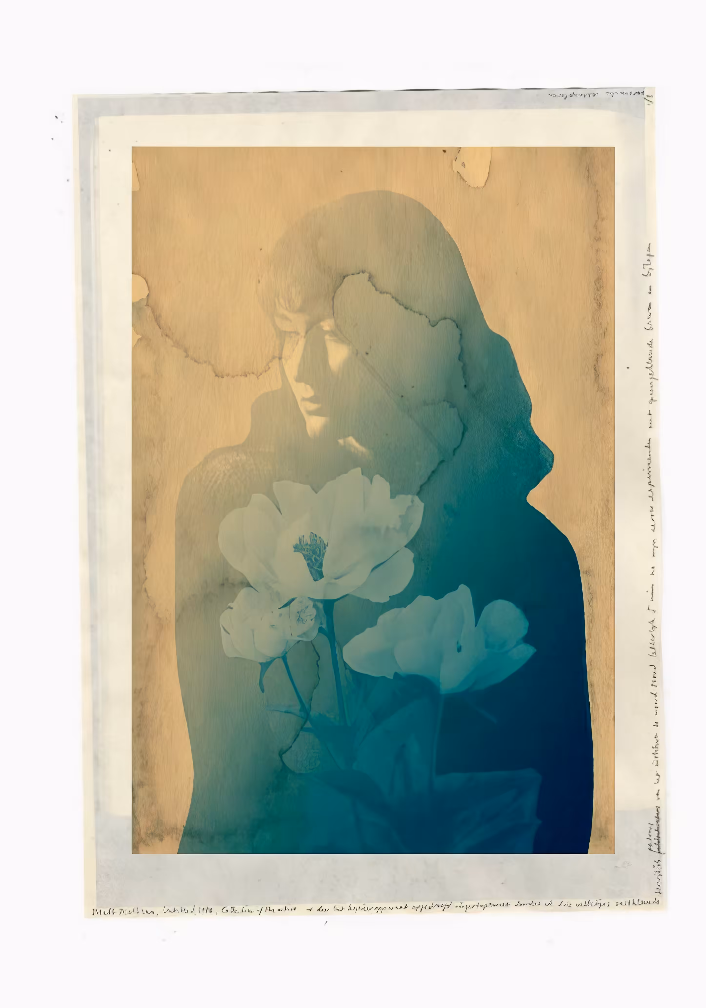 Solitude in Bloom
