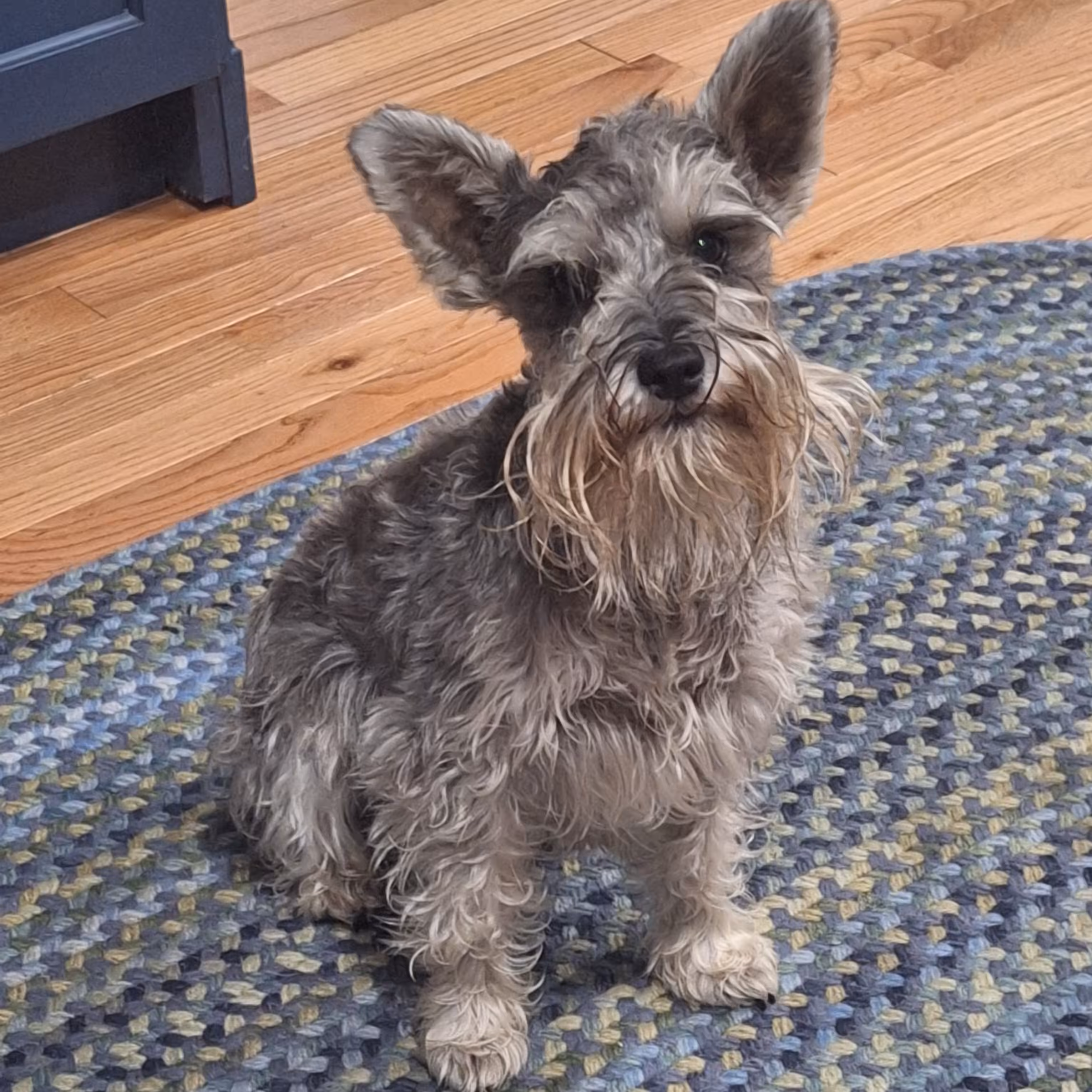 Fräulein Lola