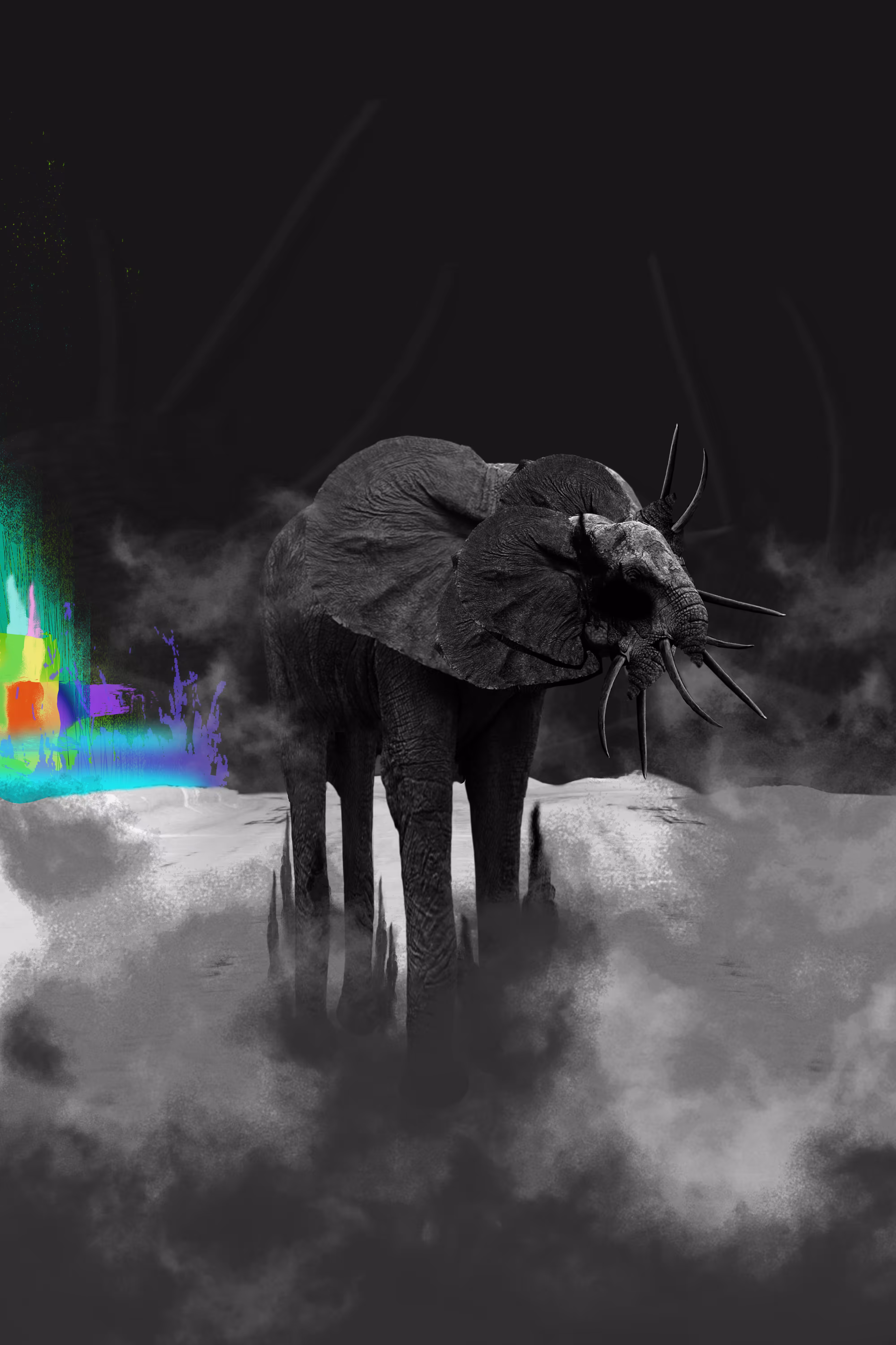 Eyelephant