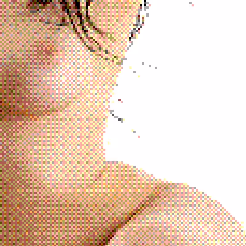 Censored Fragments 312.11