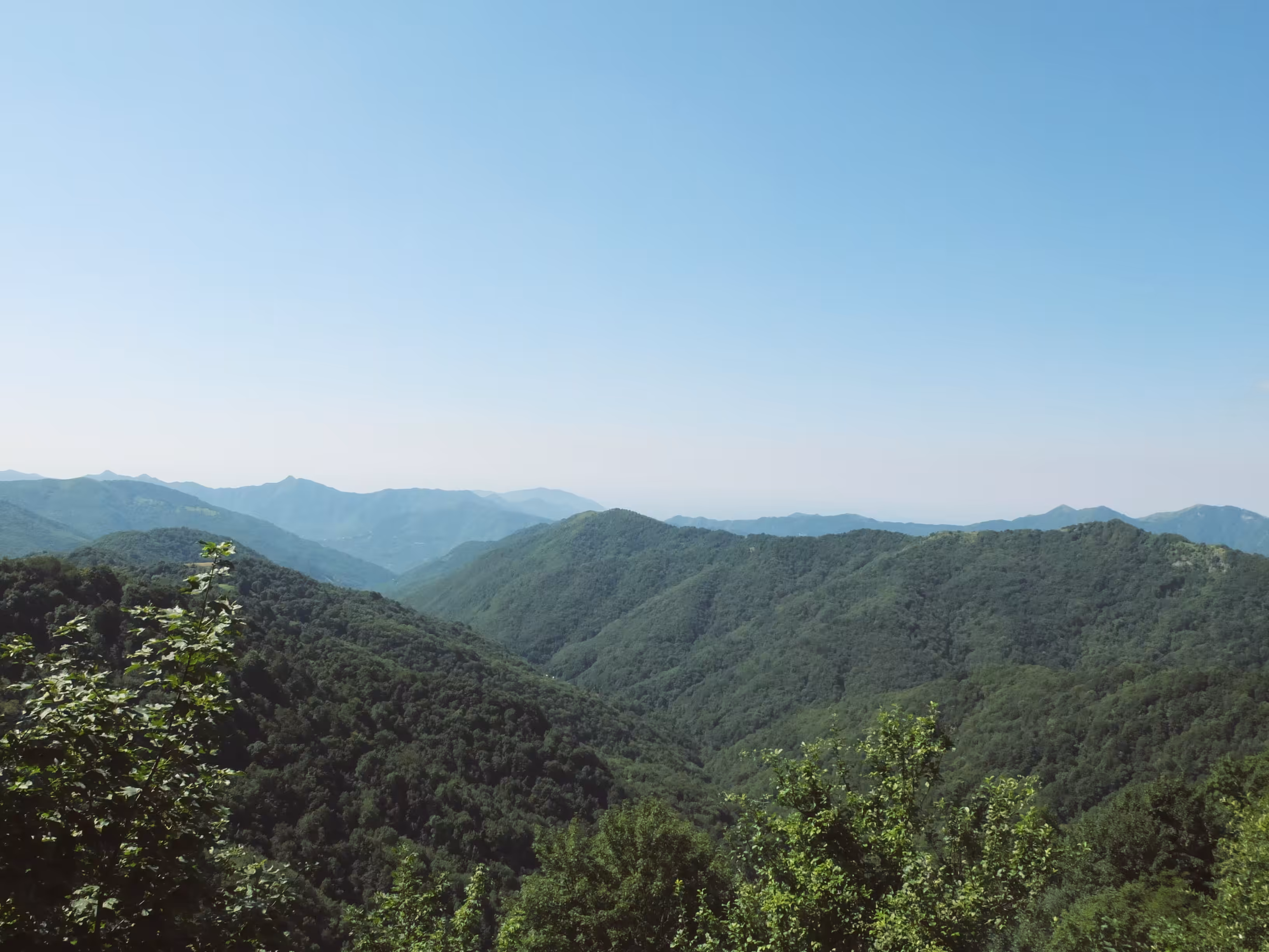 Tuscan Hills