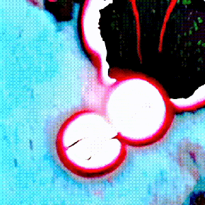 ah02502