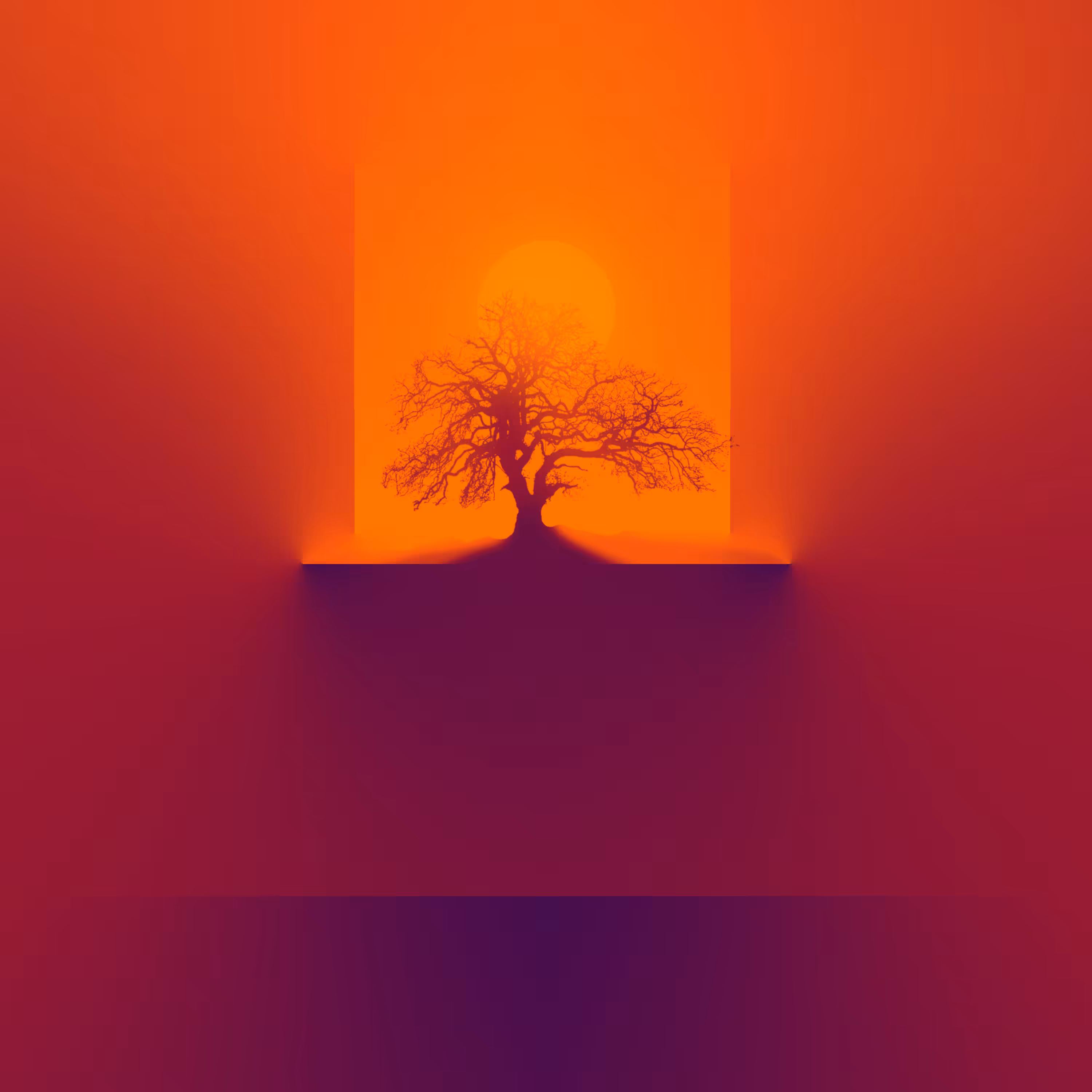 Universe Chromatic Principle: Sequoia bonsai
