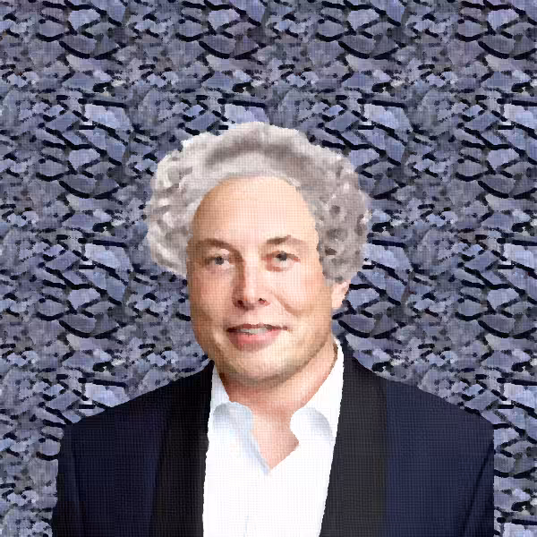 Colonial Elon NFT