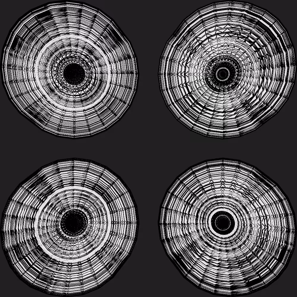 Tree Rings #5