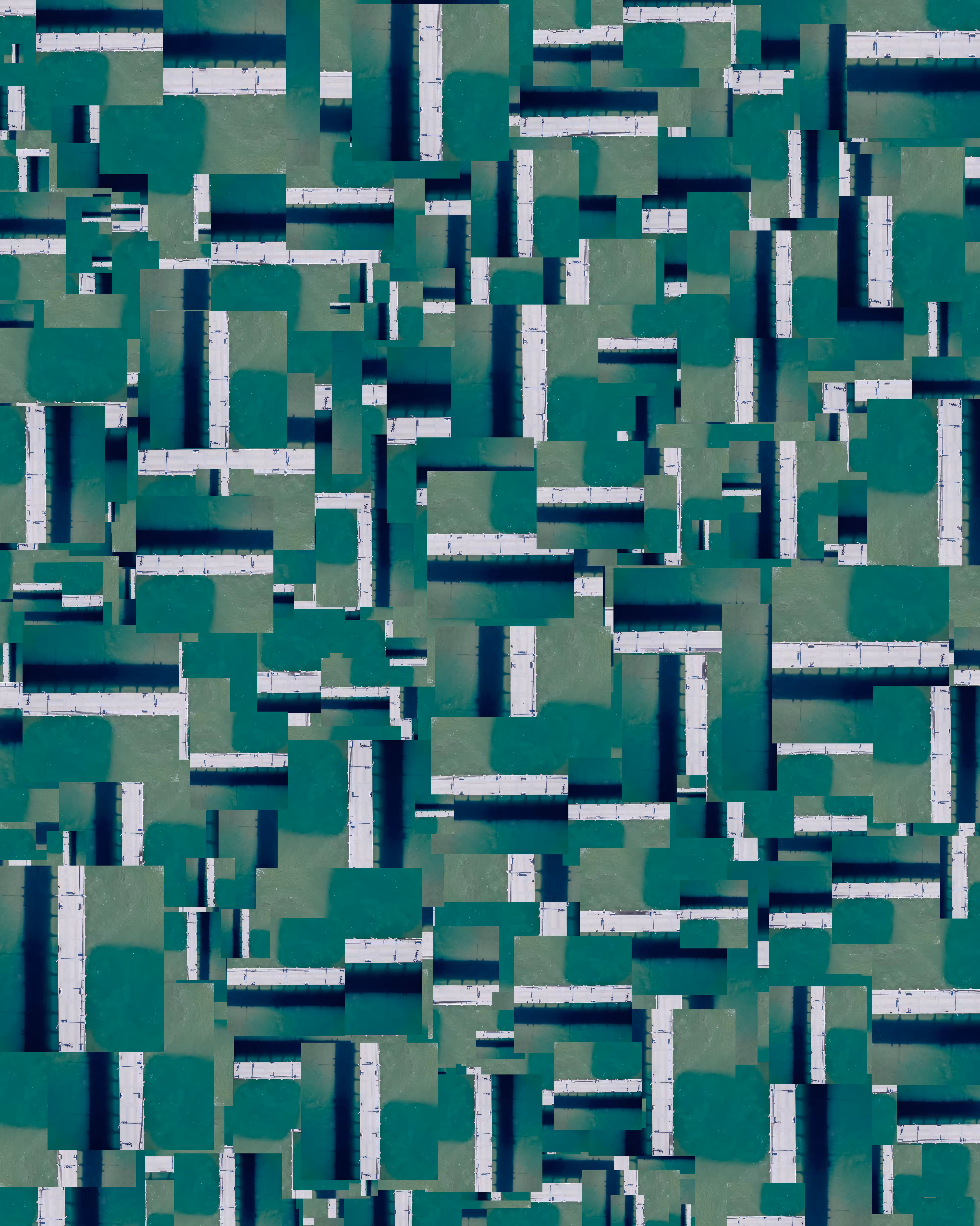 CANVAS: 25