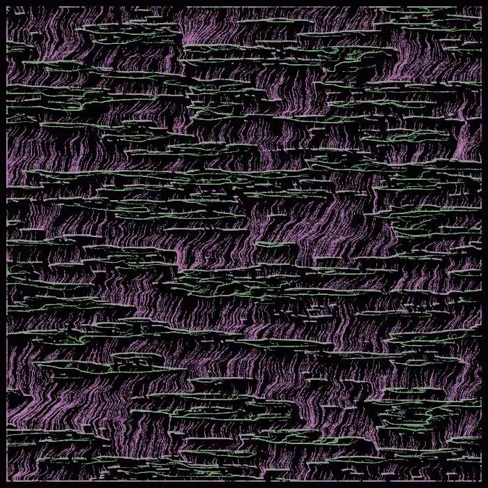 magical swamp #14