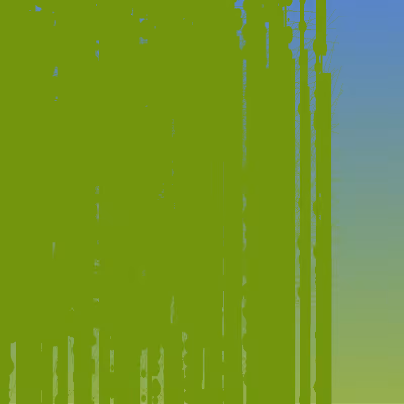gradient canvas I #4