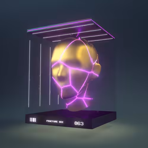 Fracture Boi: FRACTURE BOI - 063