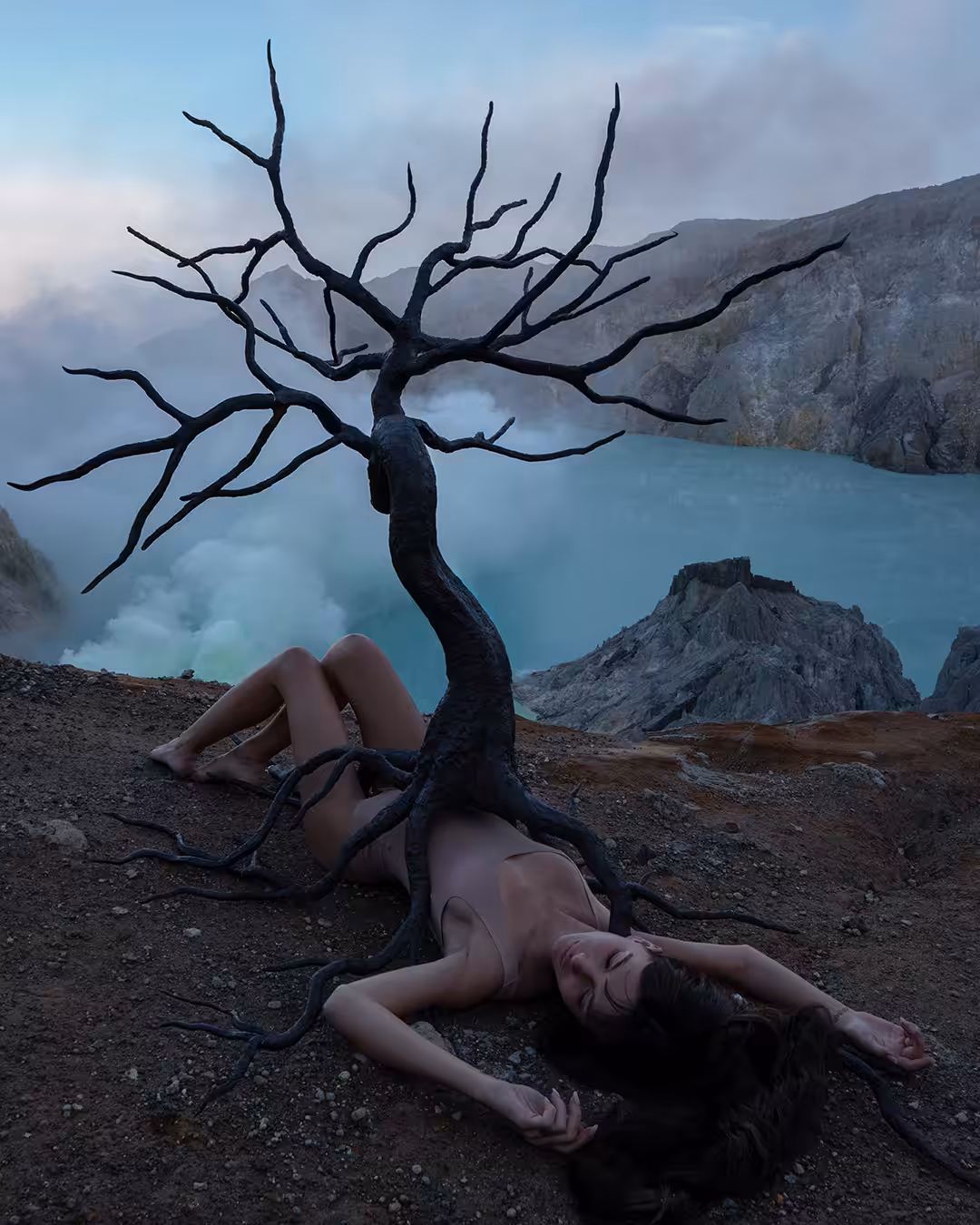 The Lost Hopes Tree