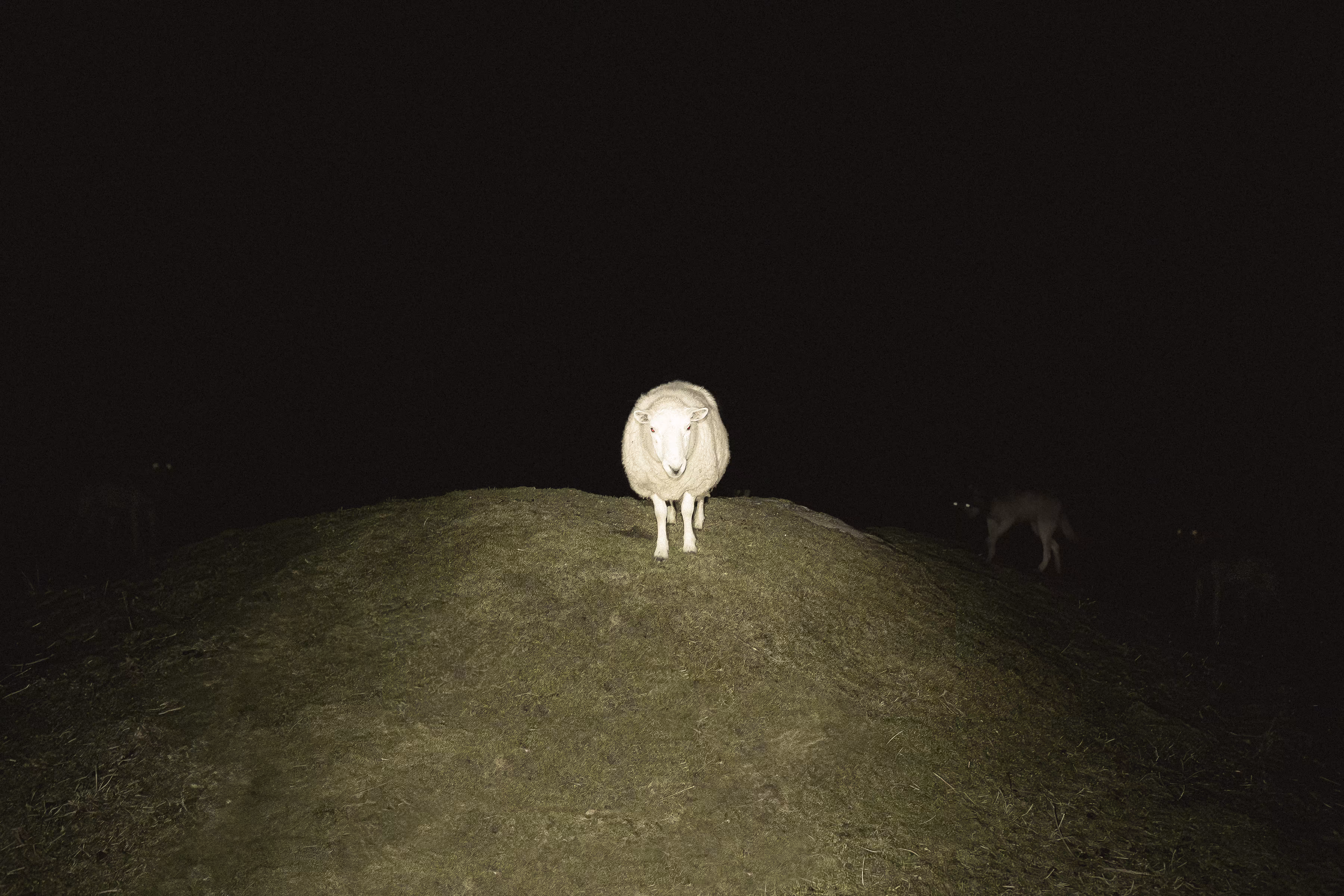 We Have A Visitor