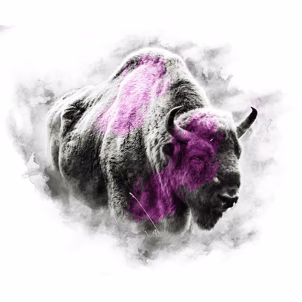 PINK SERIES - BISON