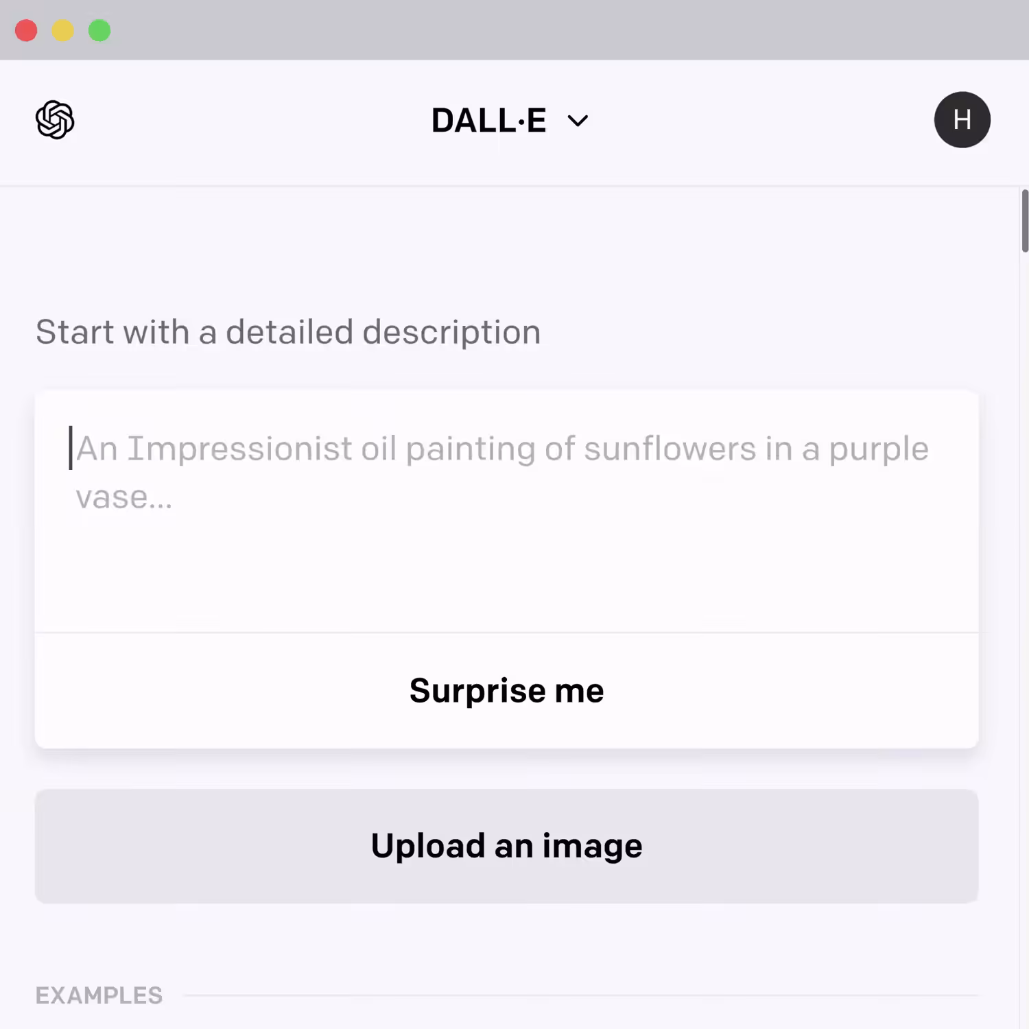 Blank Canvas
