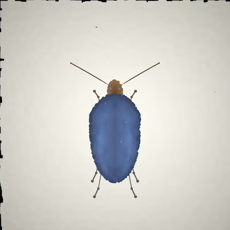 Beetle Sketches #27