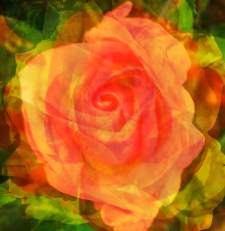 a father roses (1 of 3)