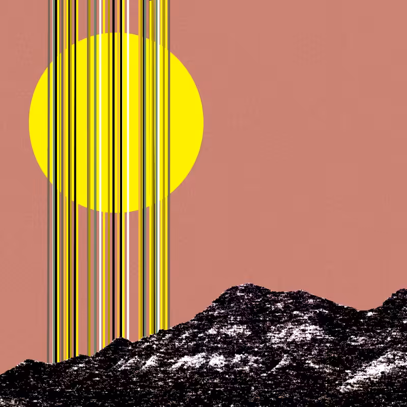 collage #1  from nature #3