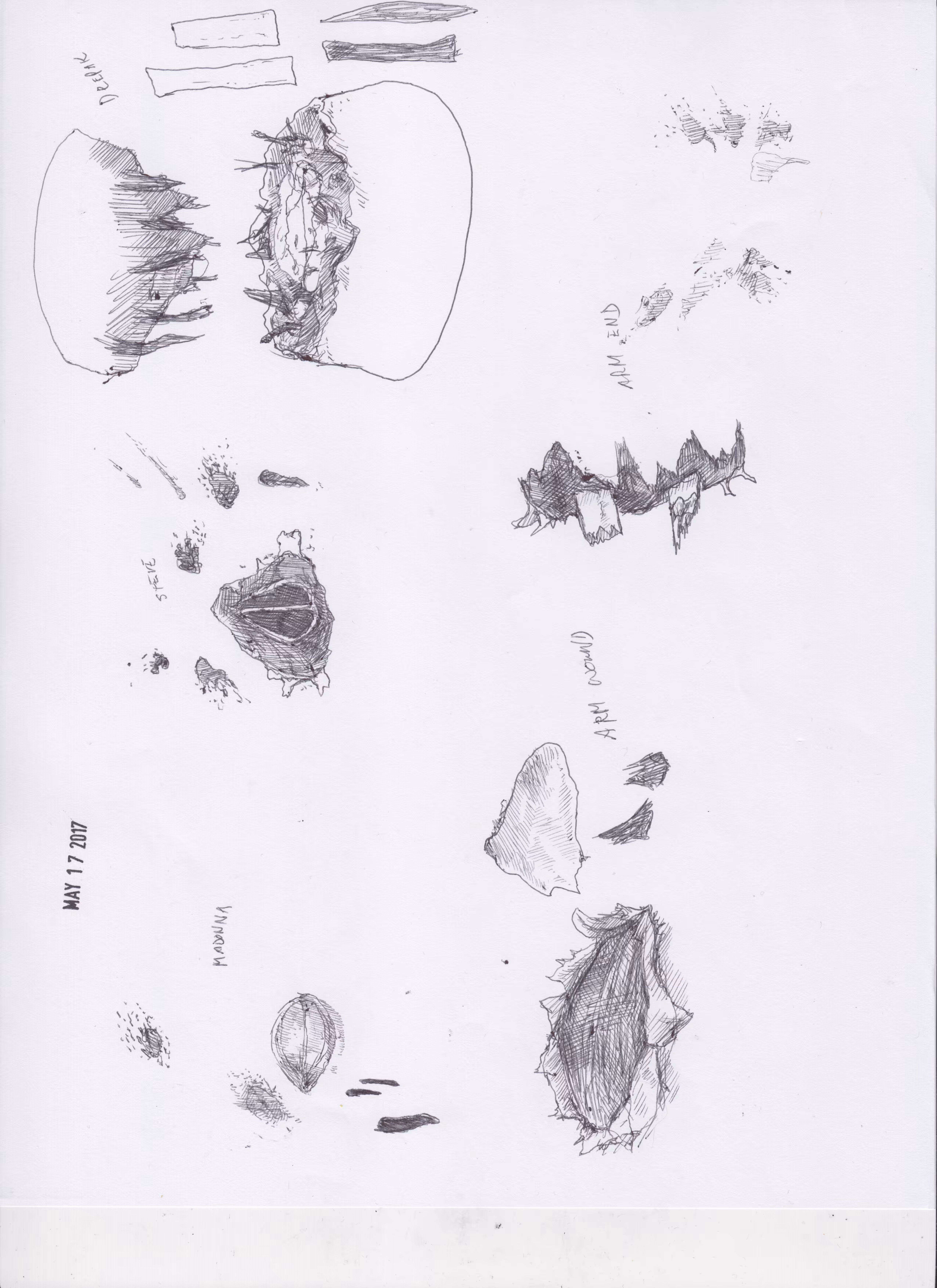 ELEMENTS: ELEMENT_52