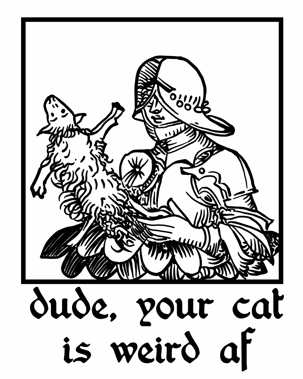 your cat is weird