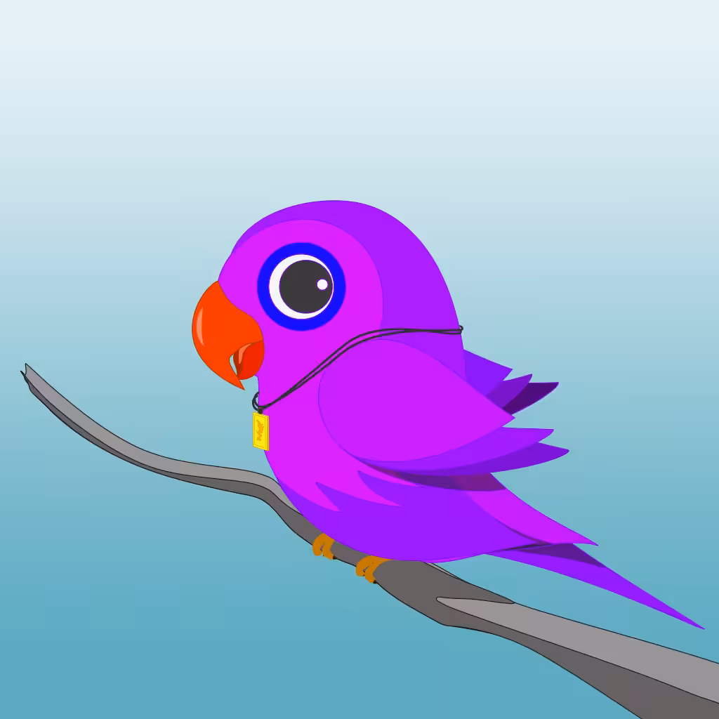 All season birdy #153
