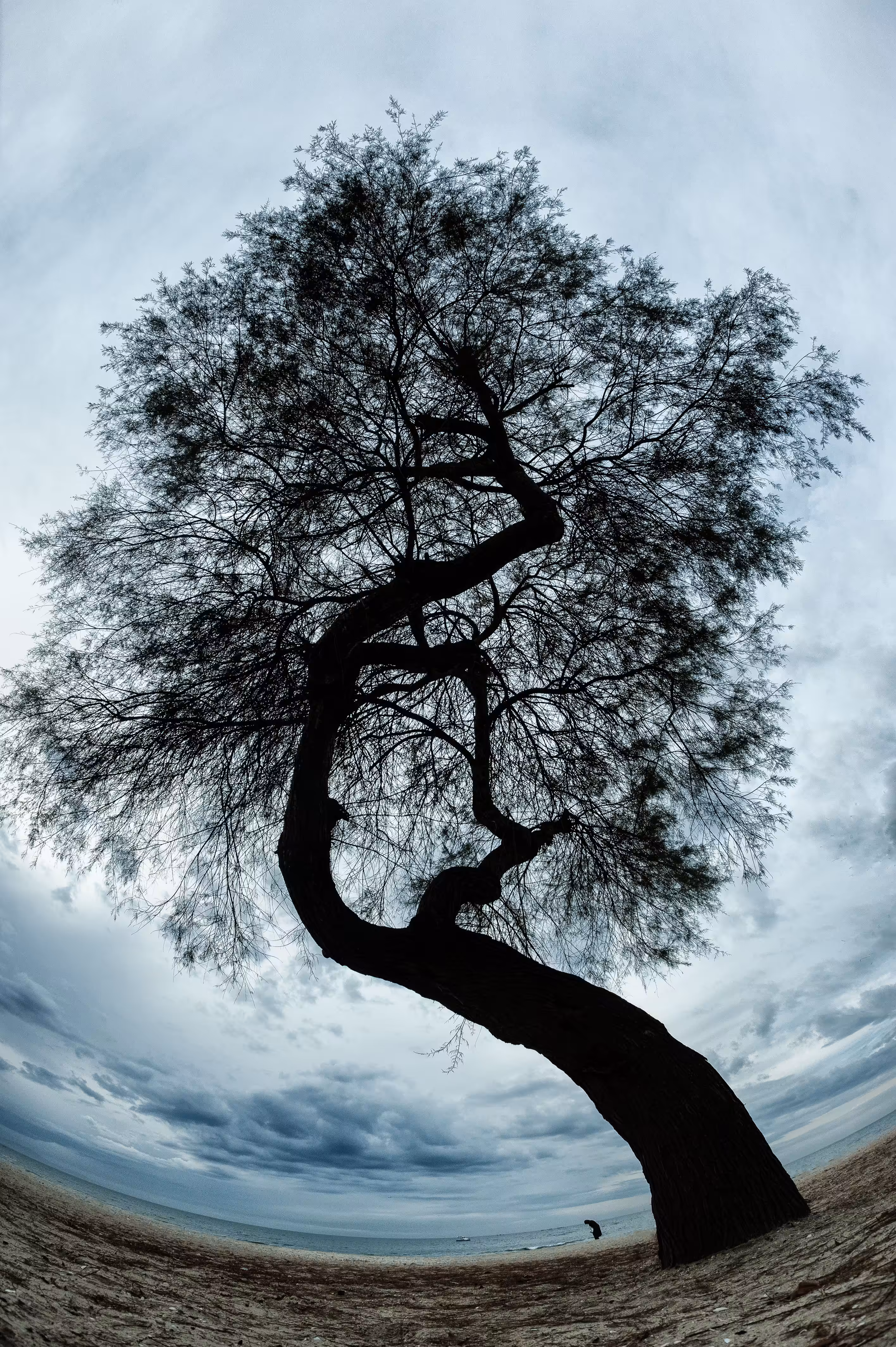 Benting Nature