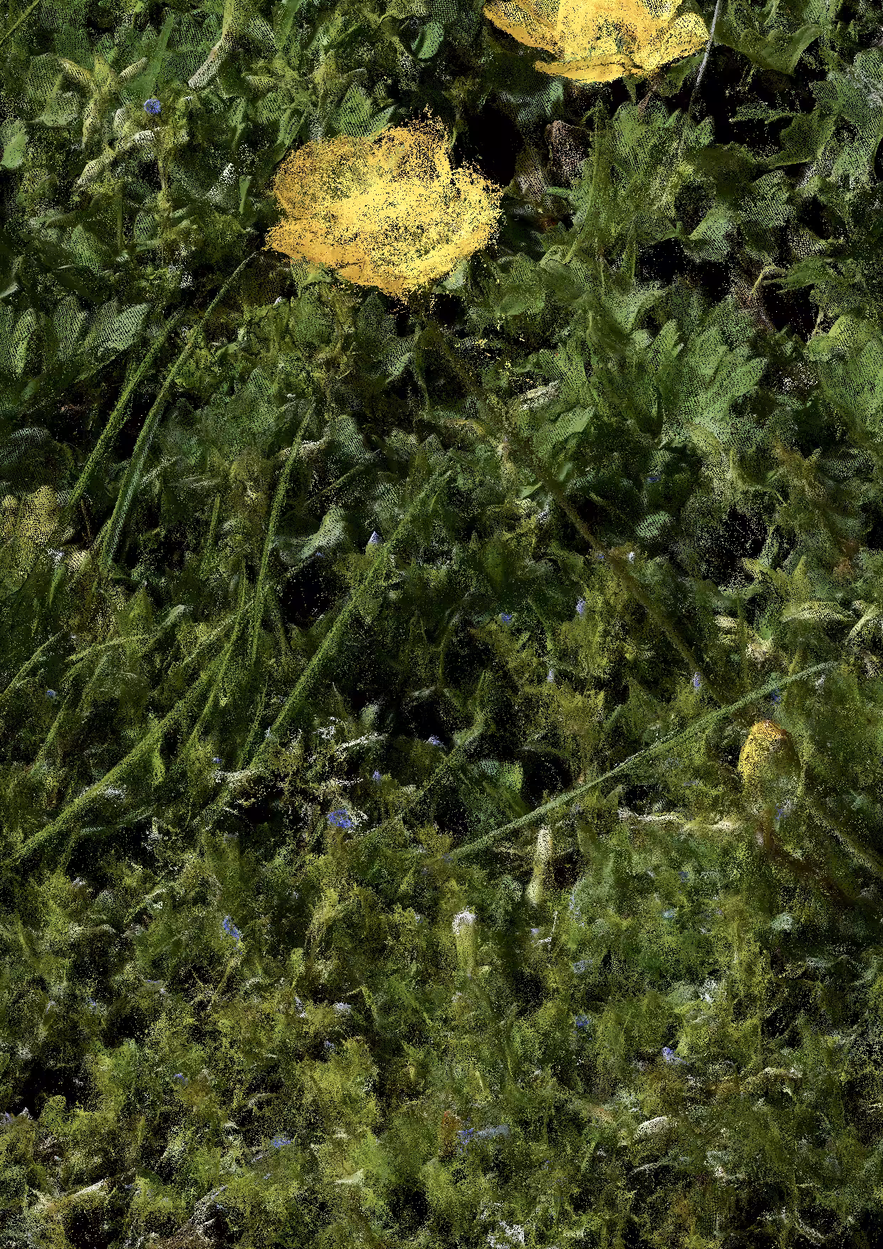 Overgrowth 0093