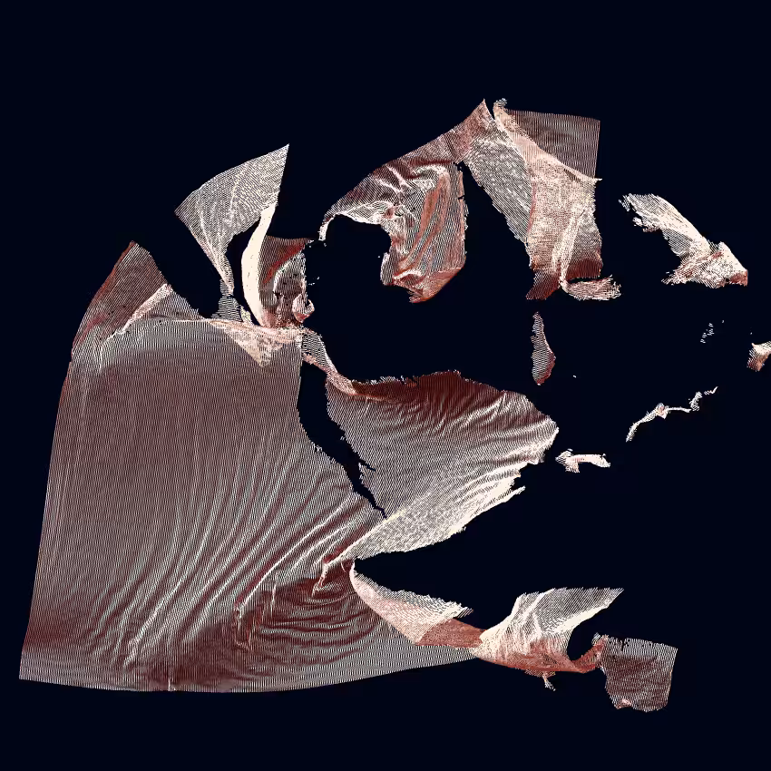 Fibril #65