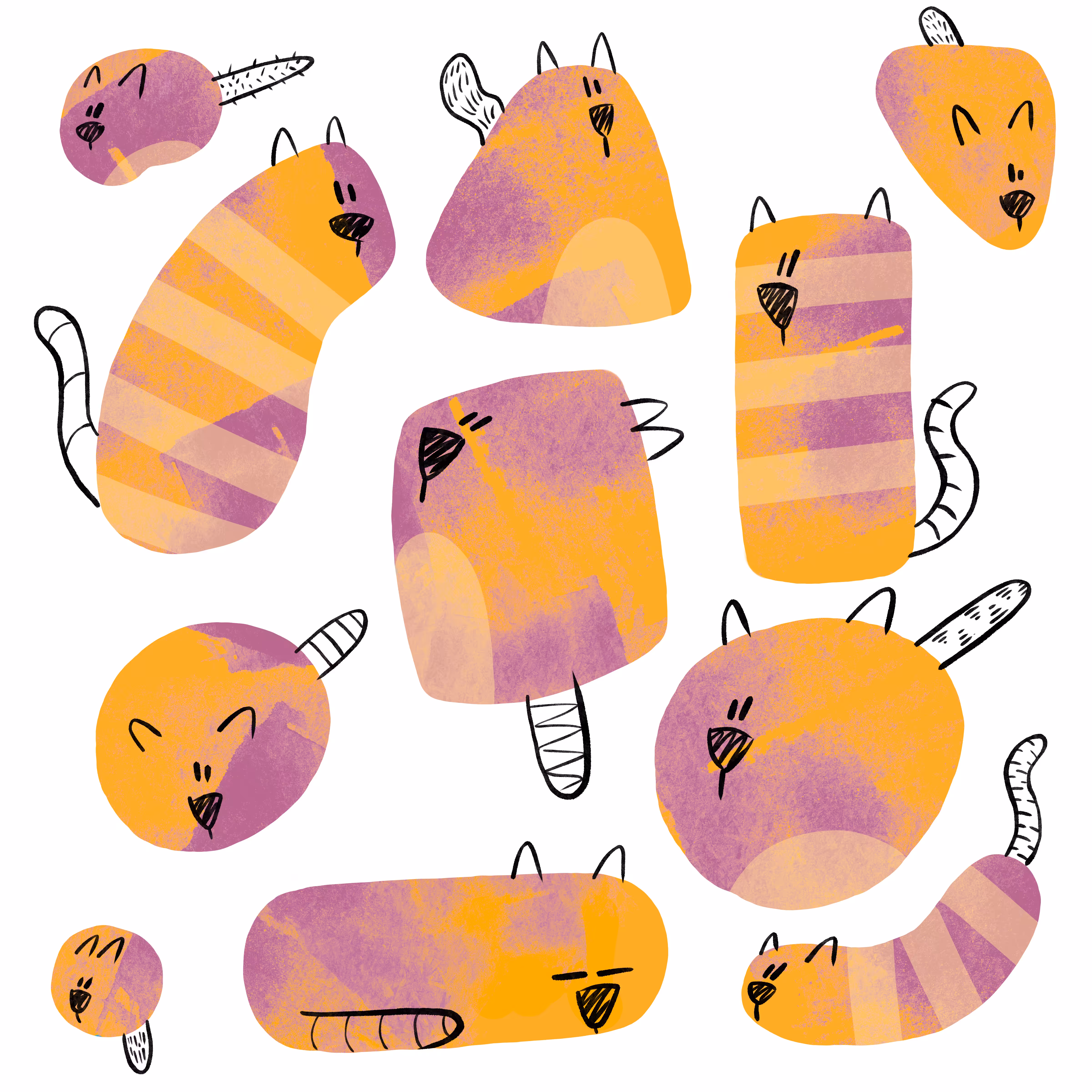 Just some Cats!!