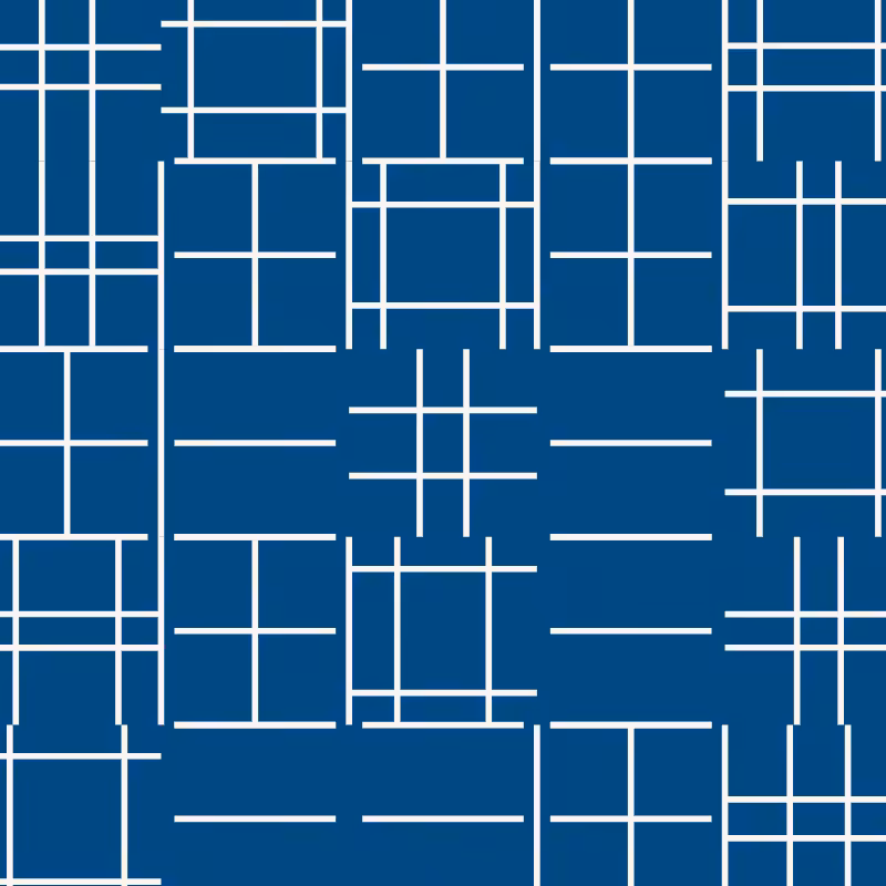 CENTURY-XXX-METAMORELLET #895