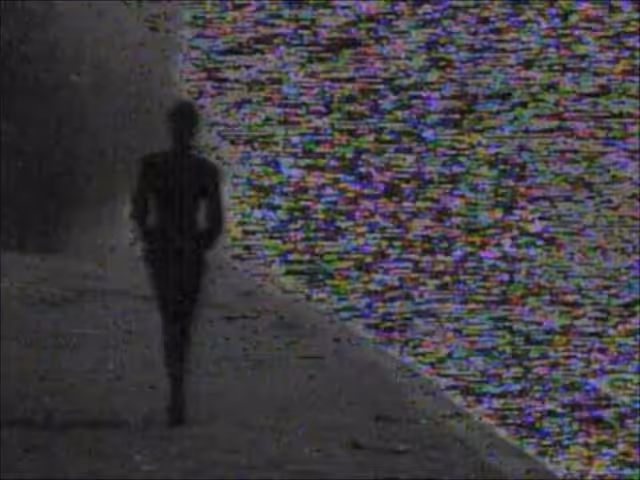 Alone with the Distortion