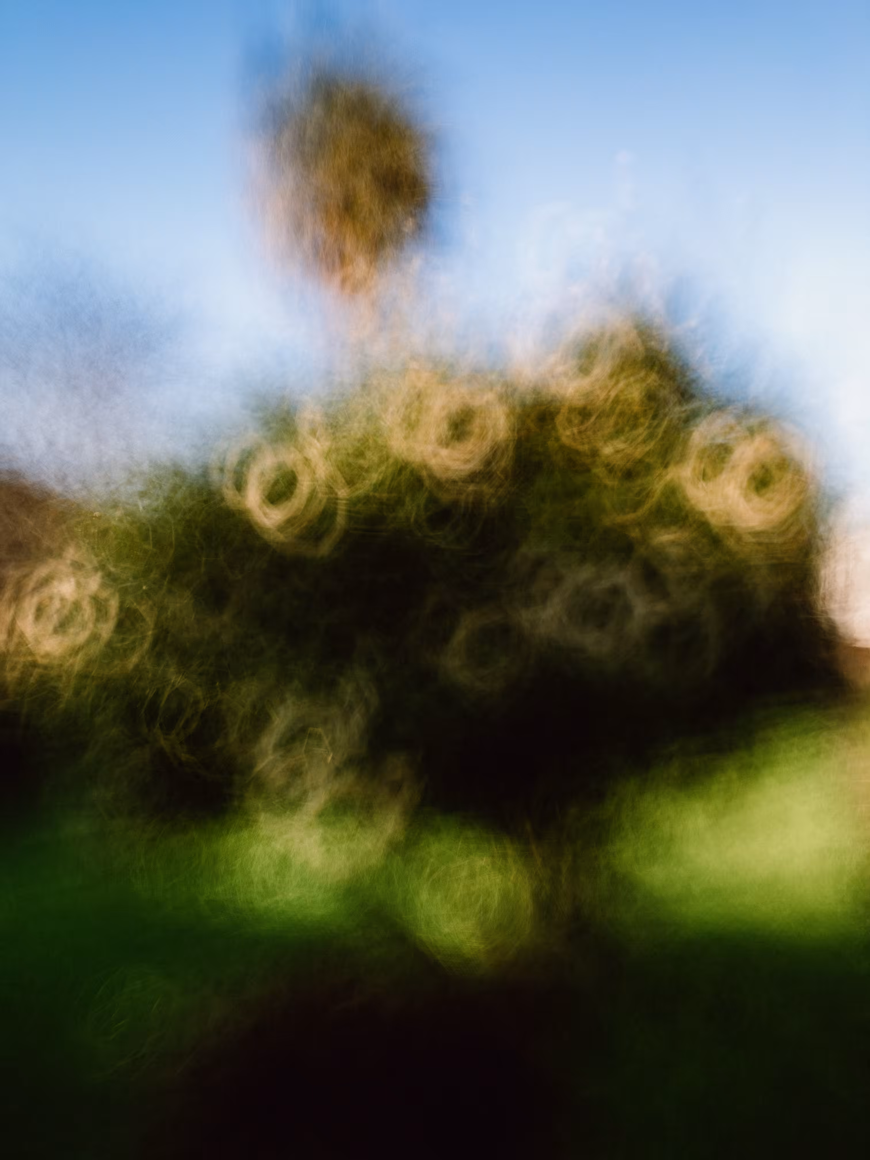 Encircled