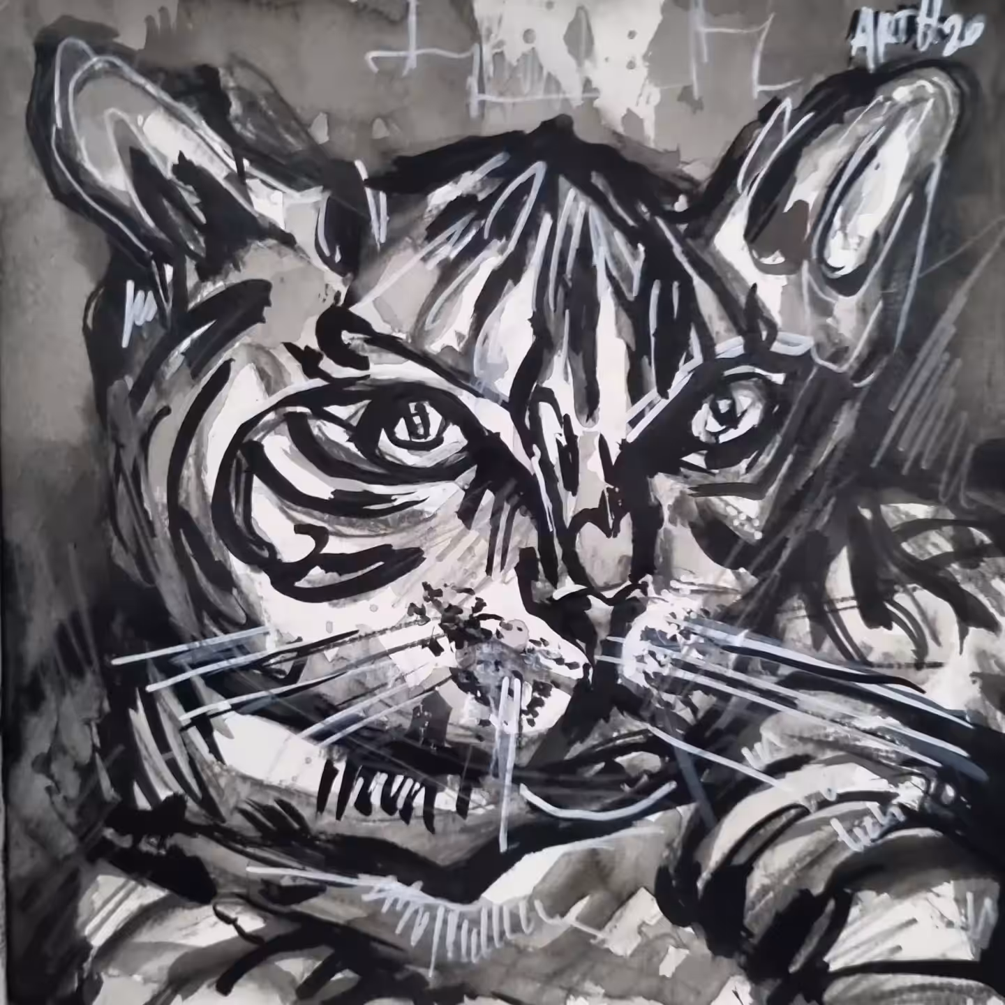 Tiger's Gaze