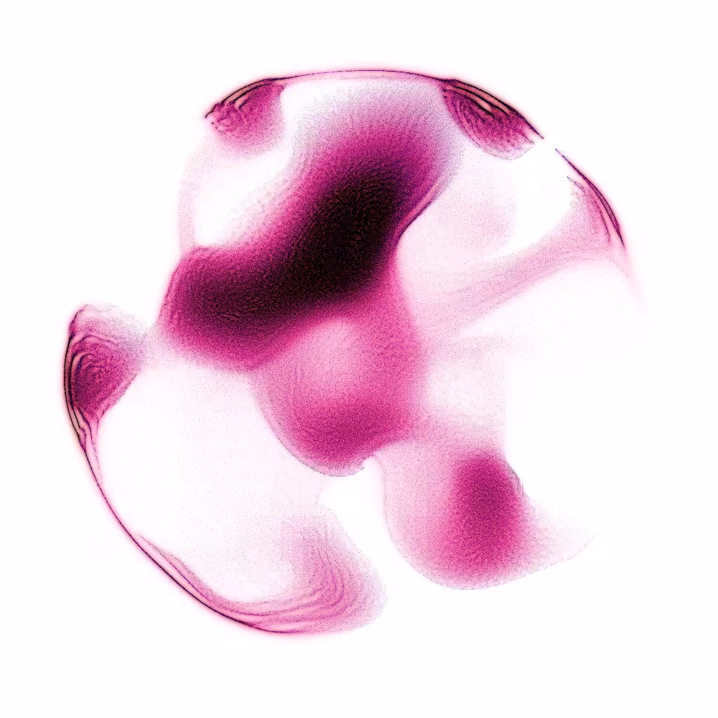 PETRI #3