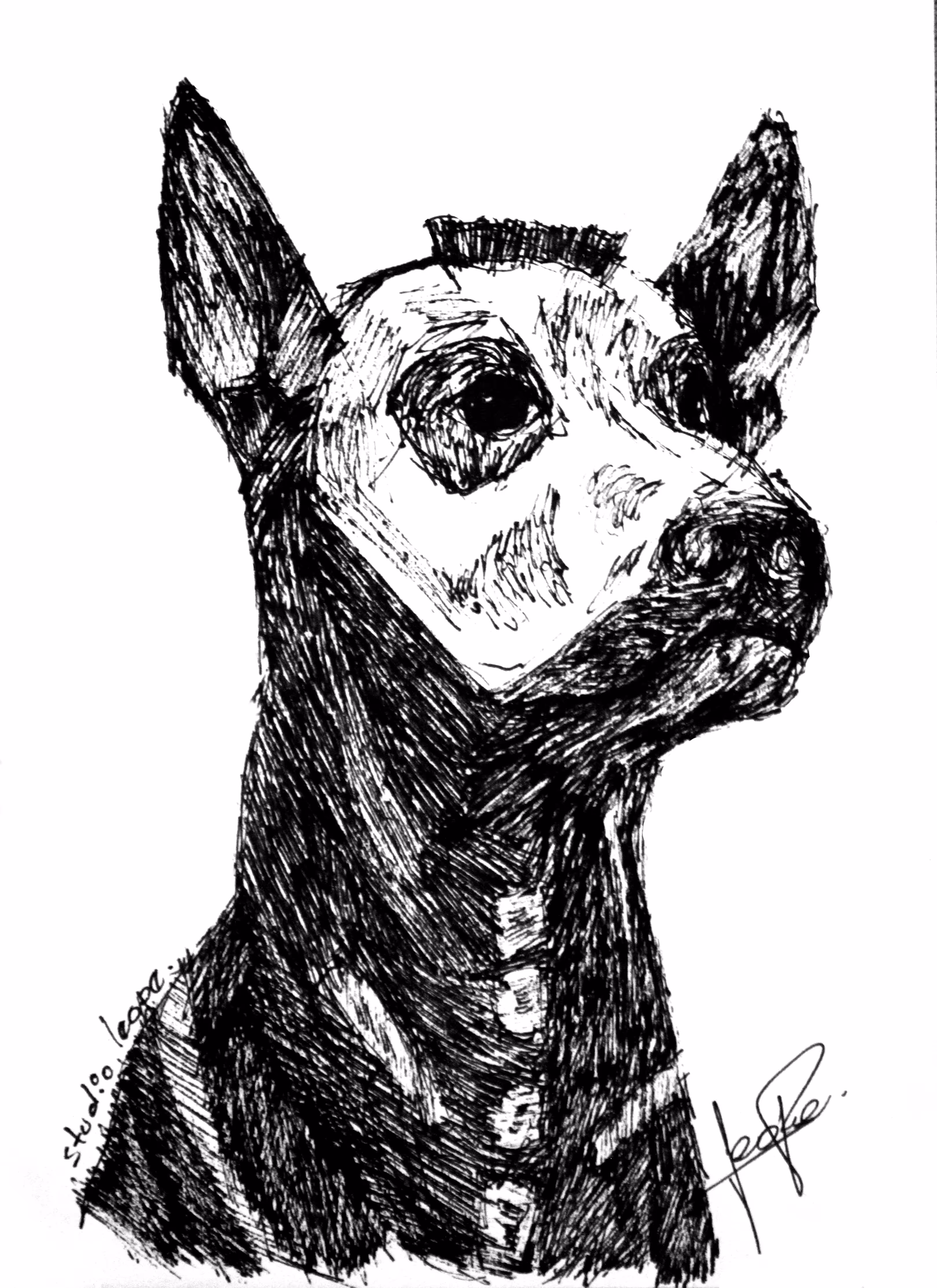 El Xolo