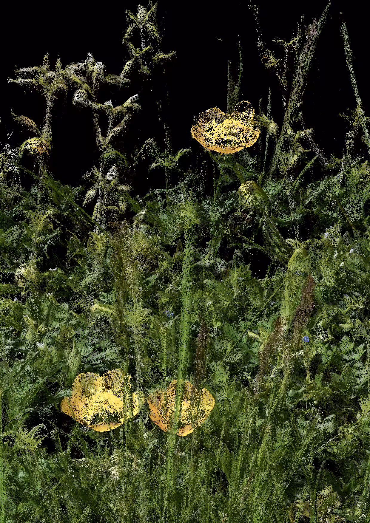 Overgrowth 0013