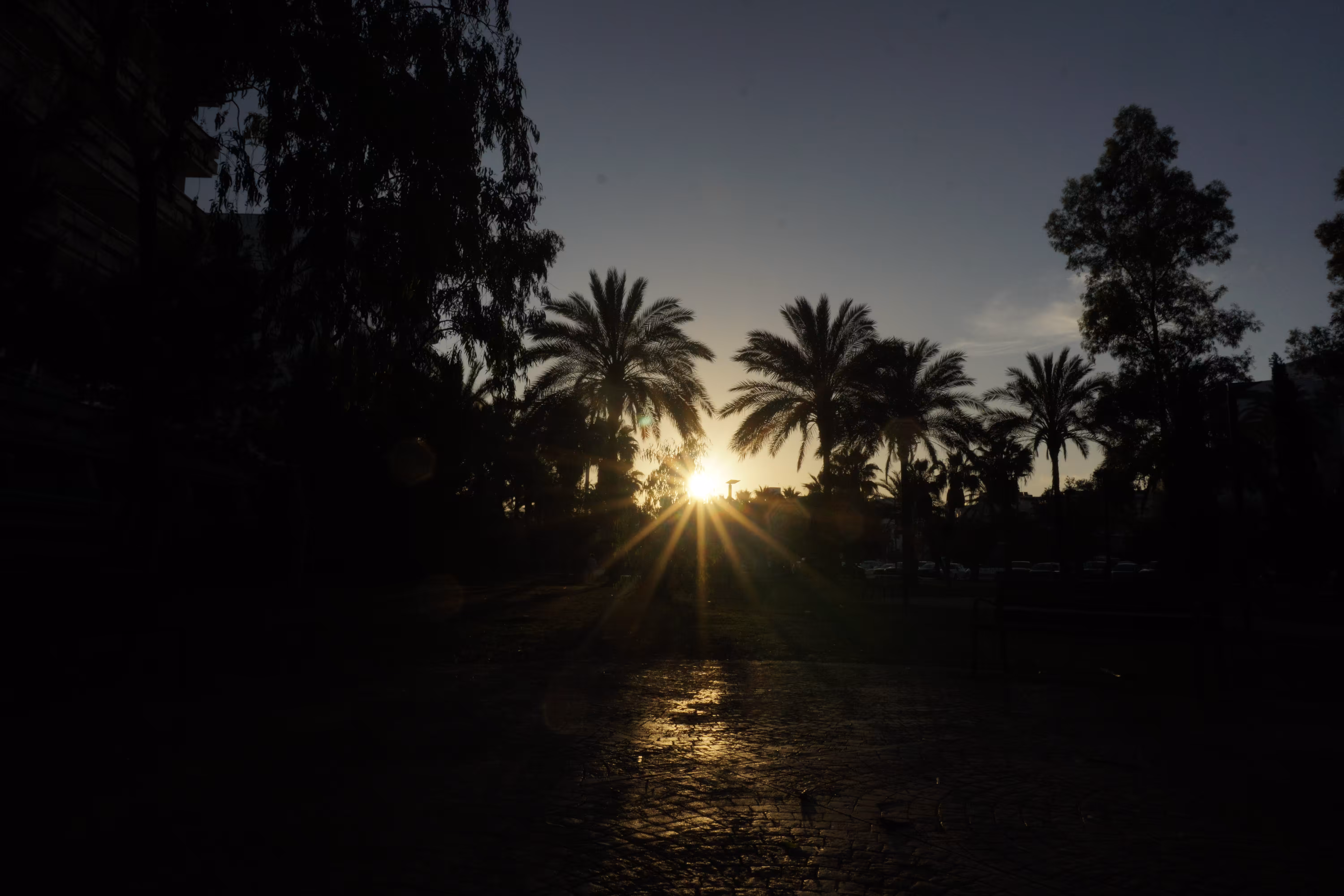 Love the Sun
