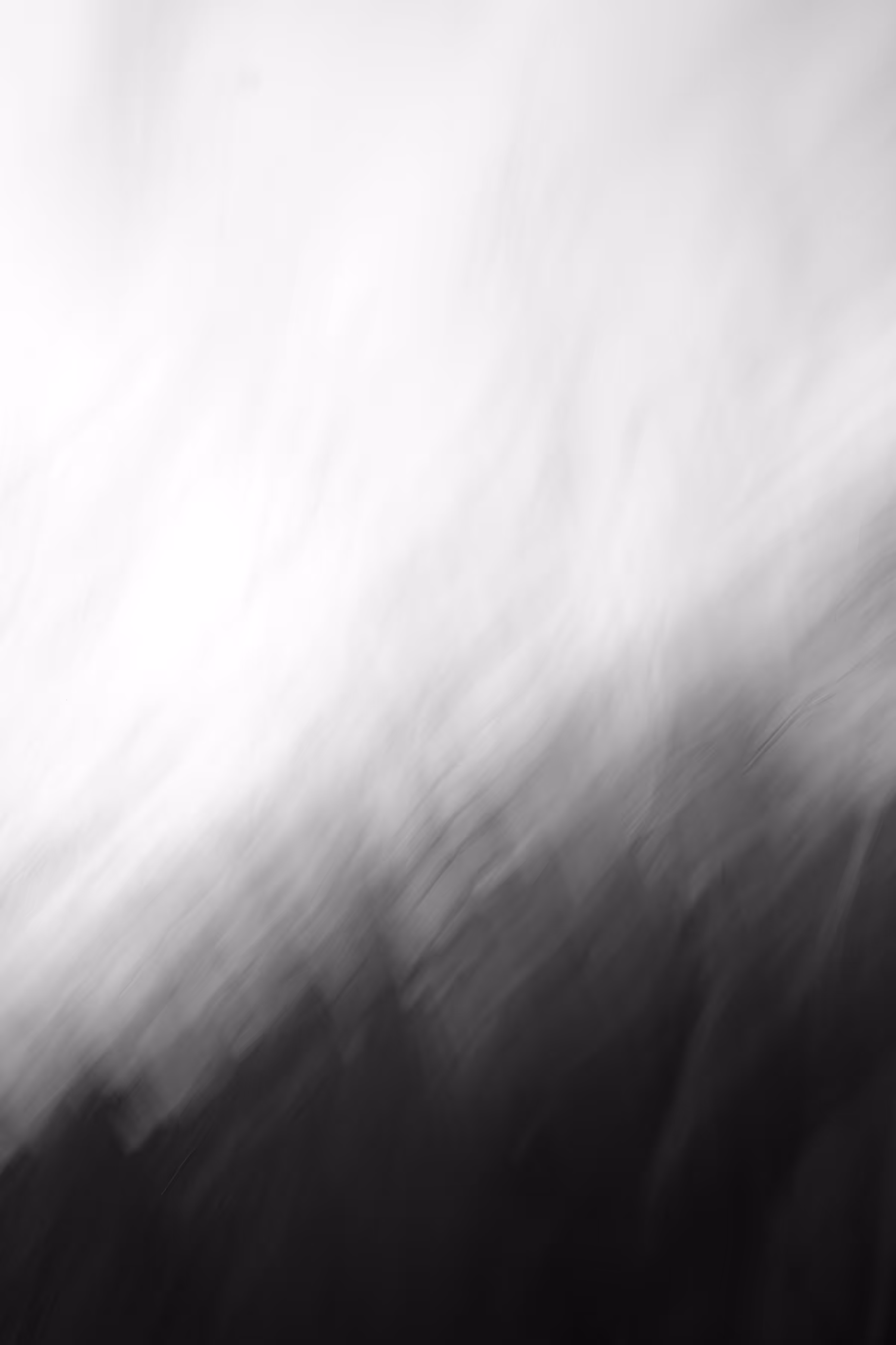 Summer Wind