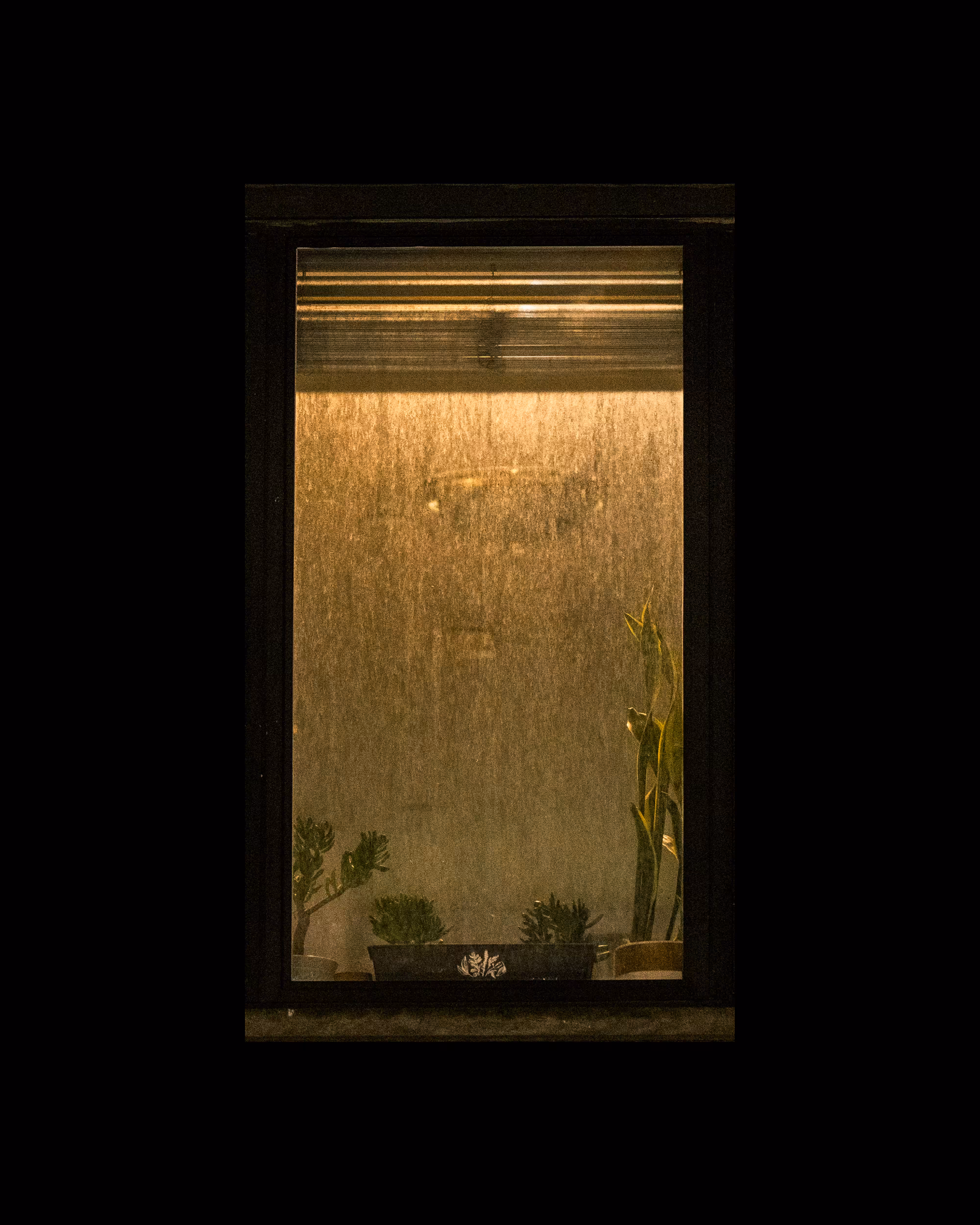 WINDOW 893