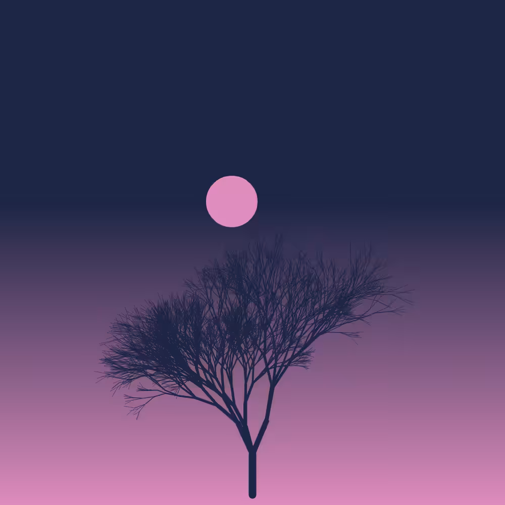Sakura at night