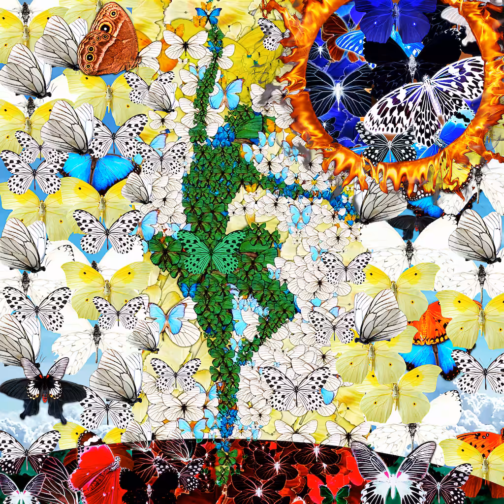 Metamorphosis