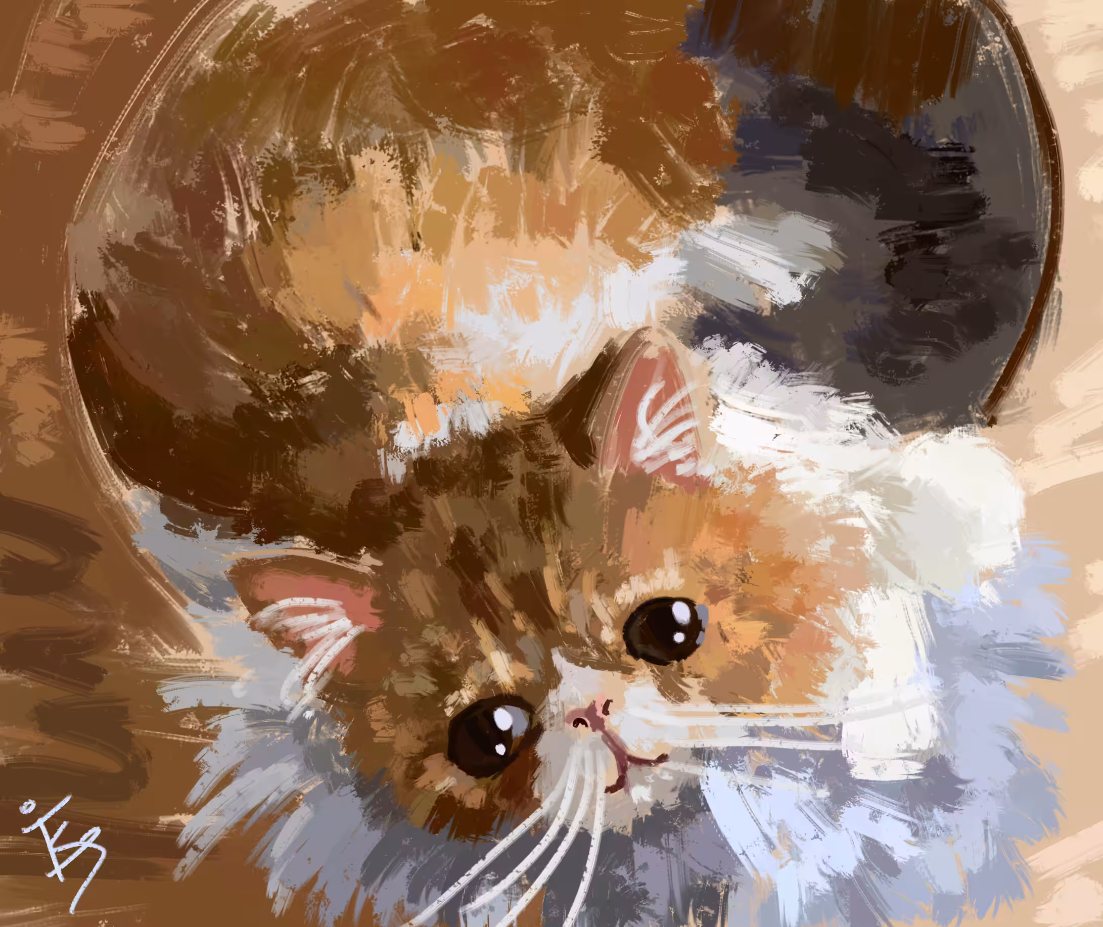 Gizmo