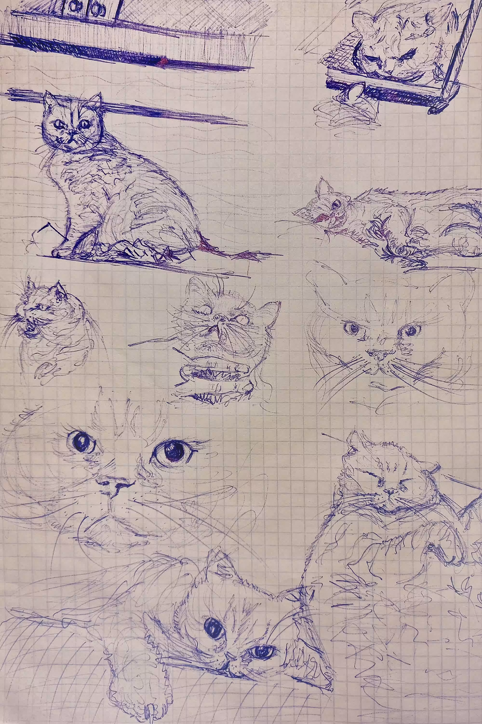Sketches from the life of Clementine