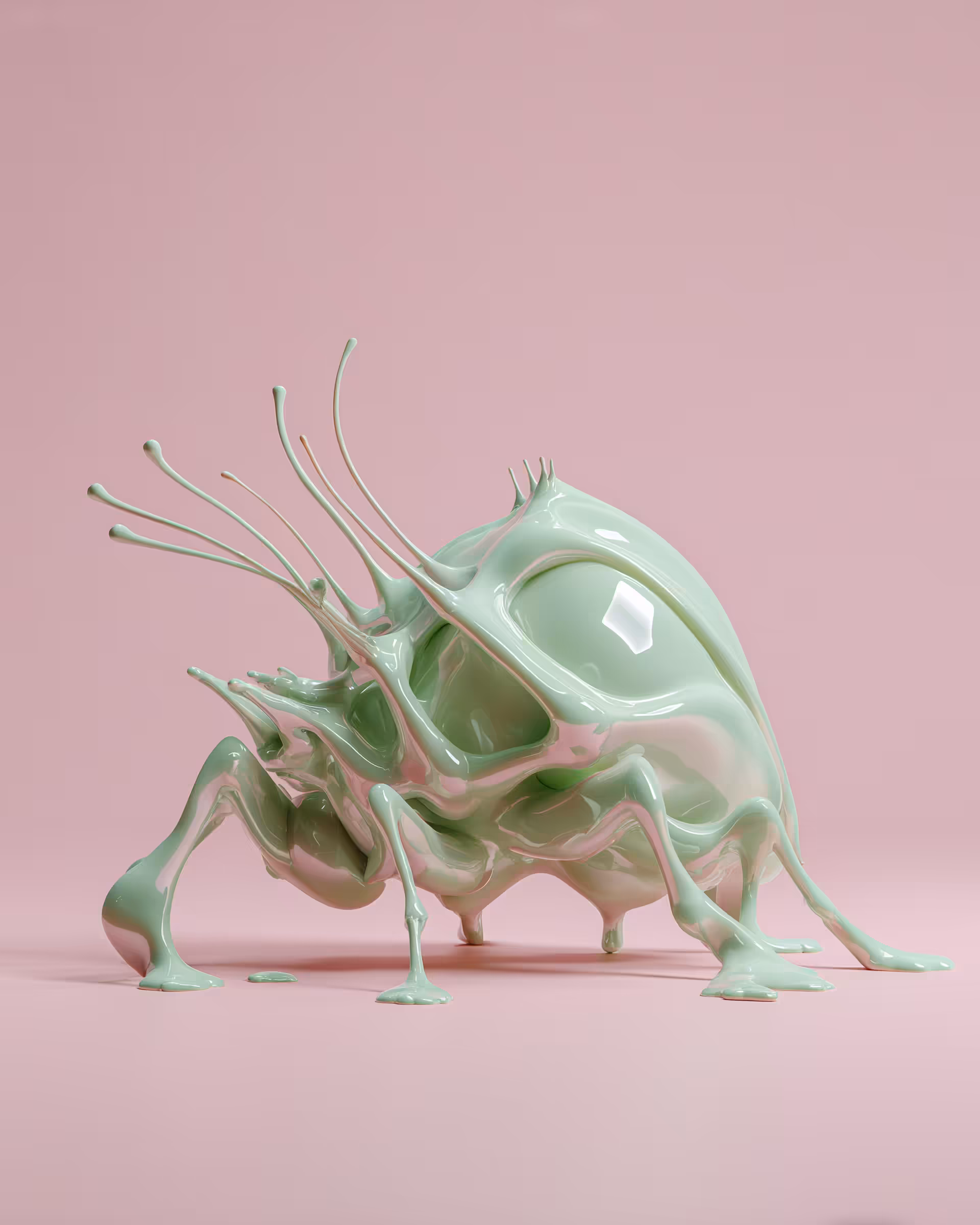Echo of the Metamorphosis