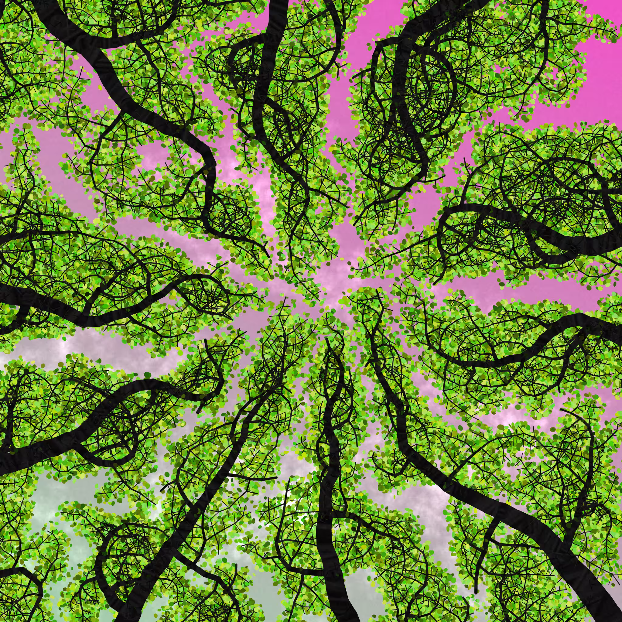 Tree Skyness #189