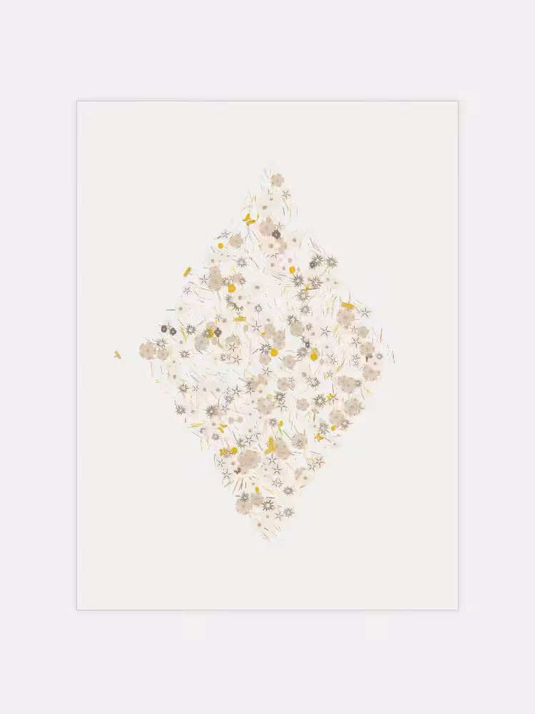 Wallflowers #4