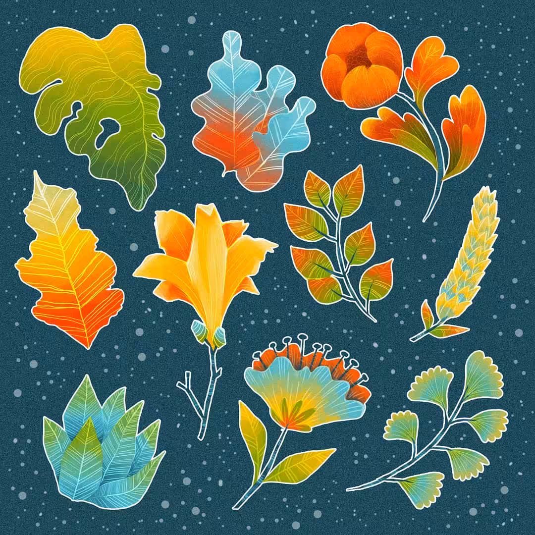 plantitas and plantitos