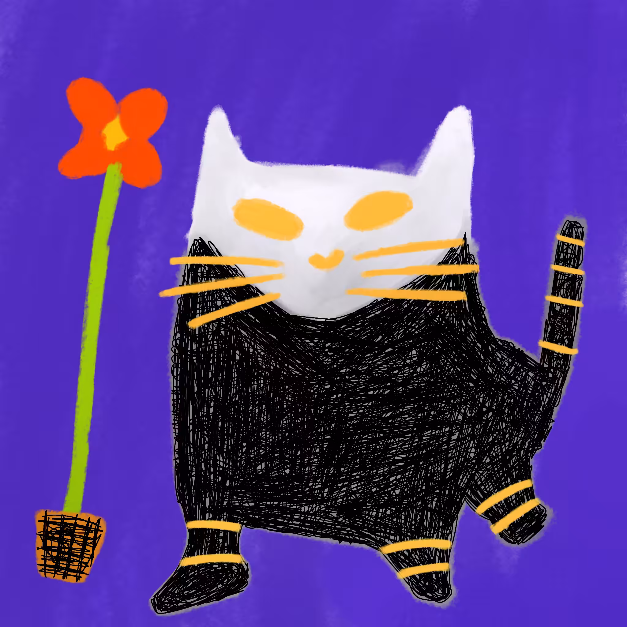 Boni the Cat