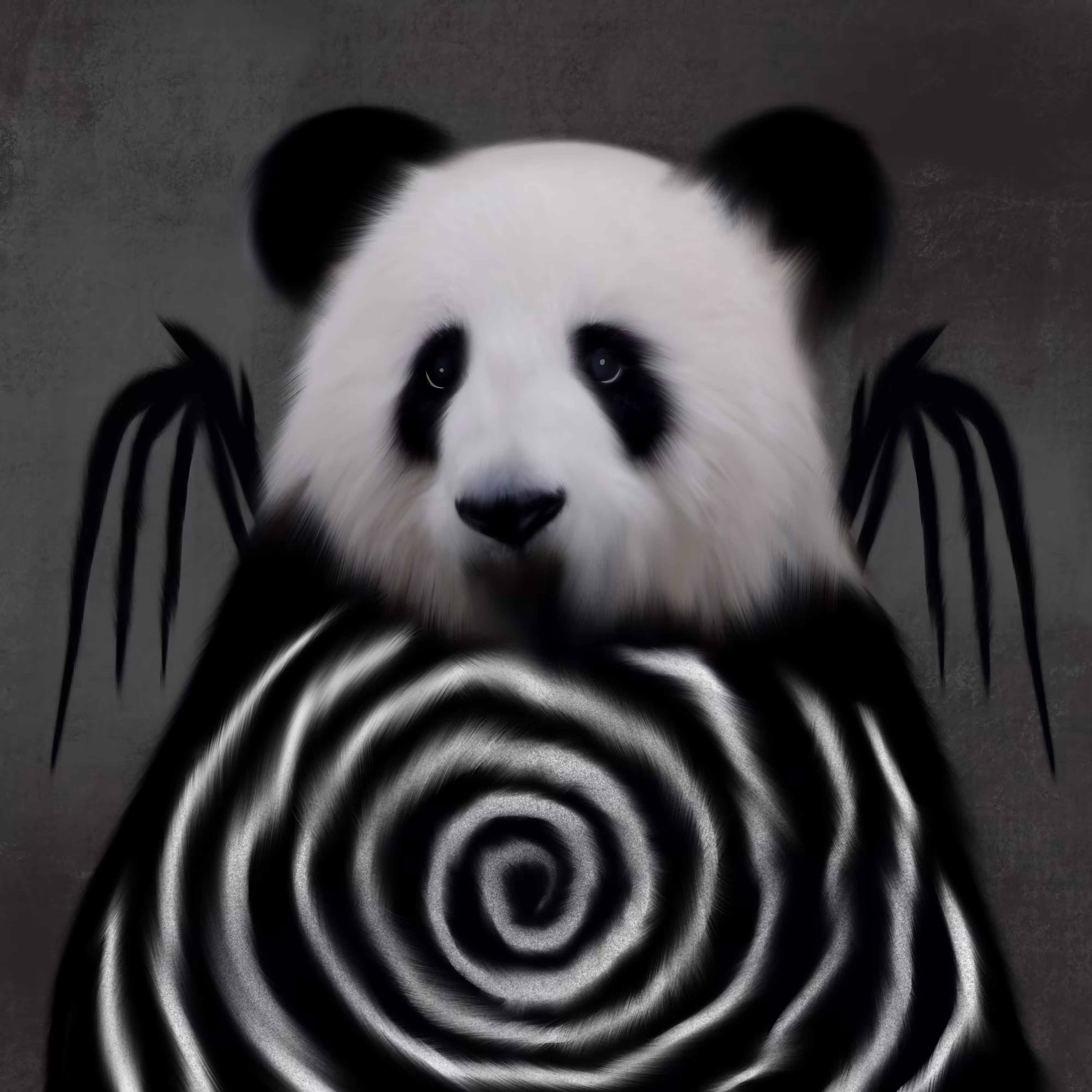 Pandaspiral